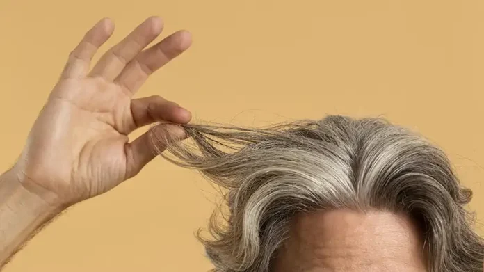 Grey Hair / White hair