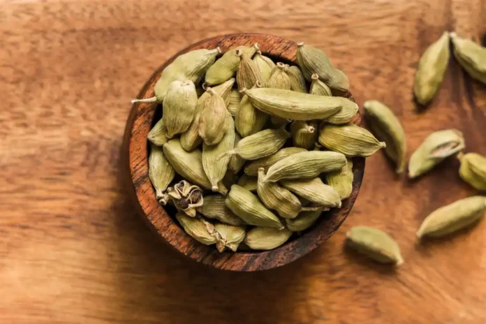 Cardamom Health Benefits: